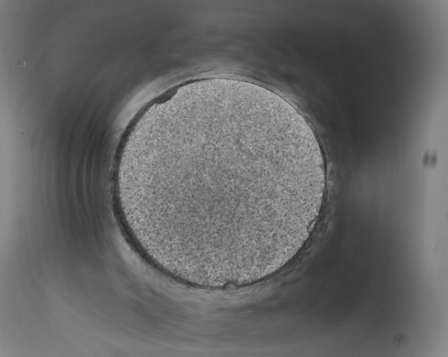 X0000111580007200908271047