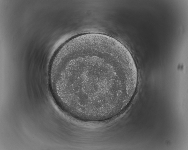 X0000111580008200908271047