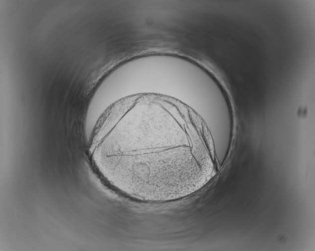 X0000111580009200908271047