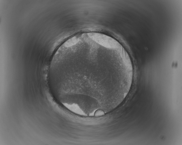 X0000111580010200908271047