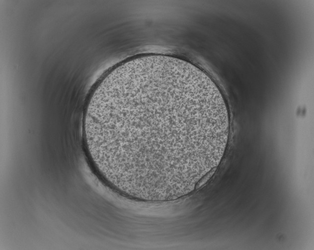 X0000111580011200908271047