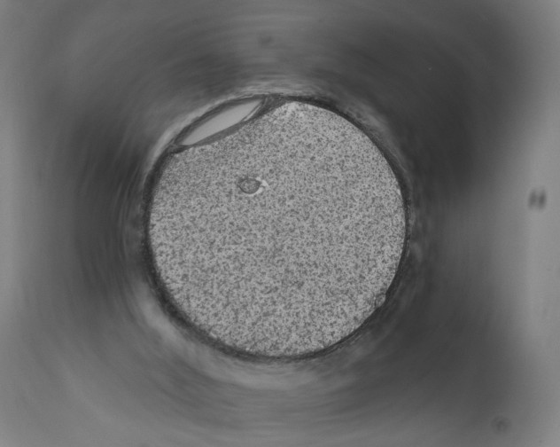 X0000111580012200908271047