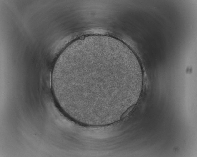 X0000111580013200908271047