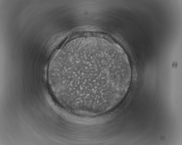 X0000111580014200908271046