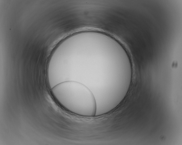 X0000111580015200908271046