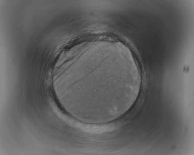 X0000111580018200908271046