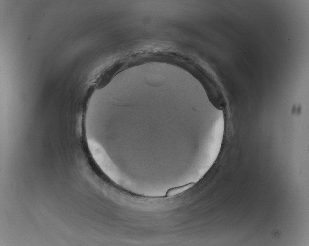 X0000111580019200908271046