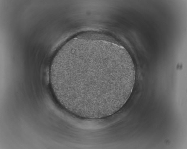 X0000111580020200908271046