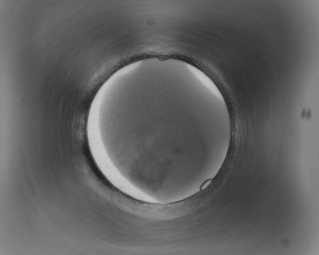 X0000111580023200908271046