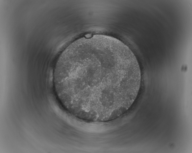 X0000111580024200908271046