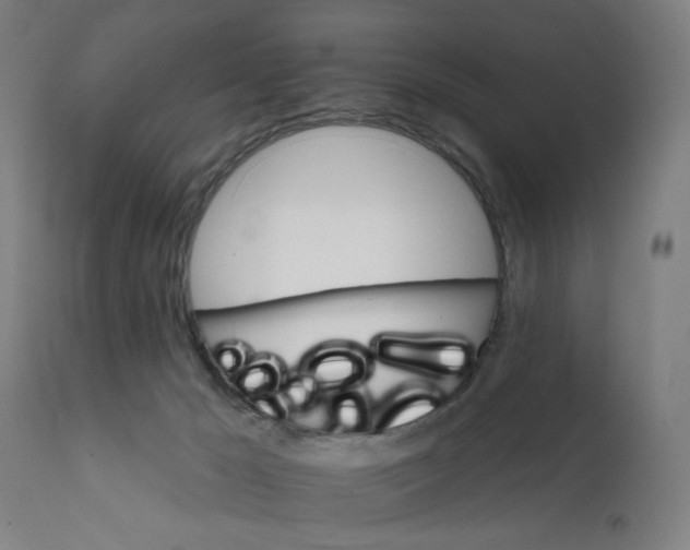 X0000111580029200908271046