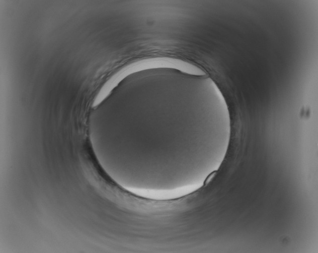 X0000111580031200908271046