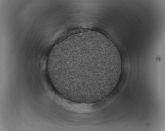 X0000111580032200908271046