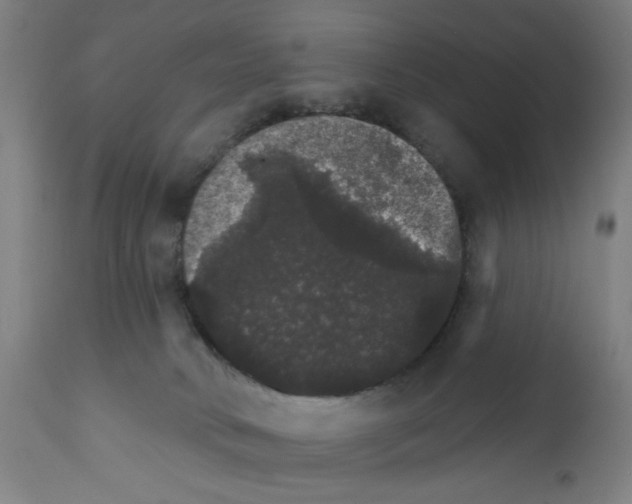 X0000111580034200908271046