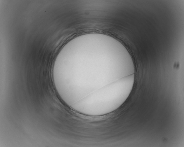 X0000111580035200908271046