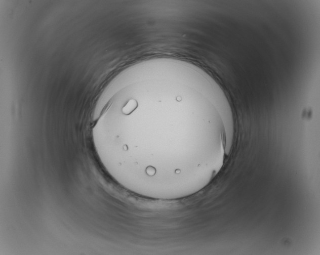 X0000111580036200908271046