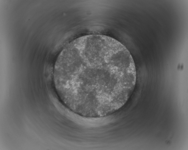 X0000111580038200908271046