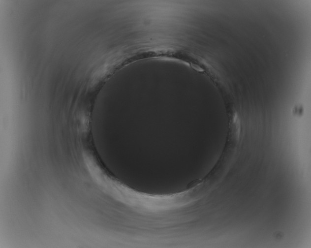 X0000111580039200908271046