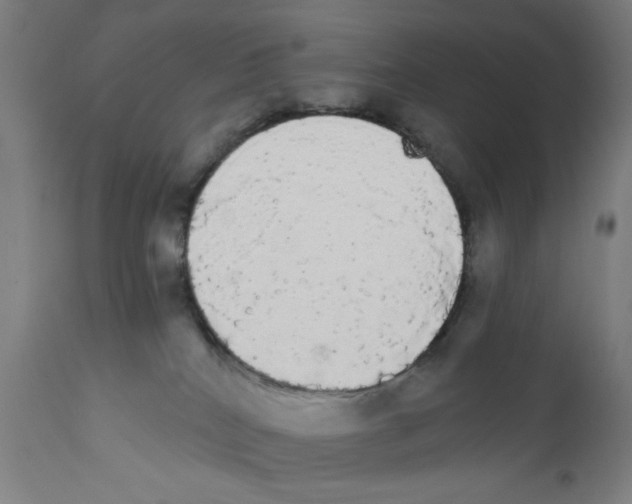 X0000111580040200908271046