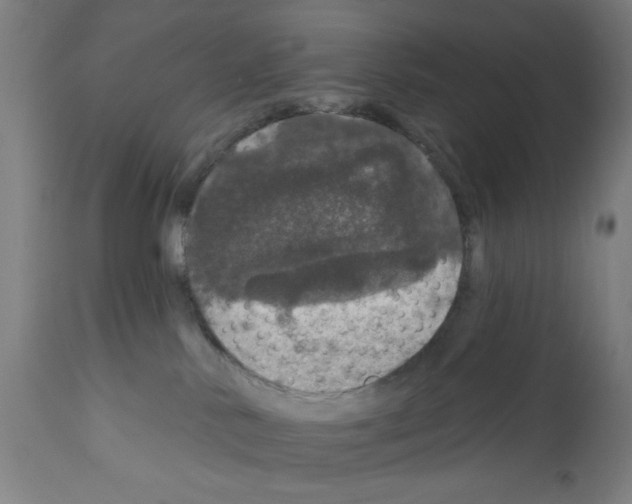 X0000111580042200908271046