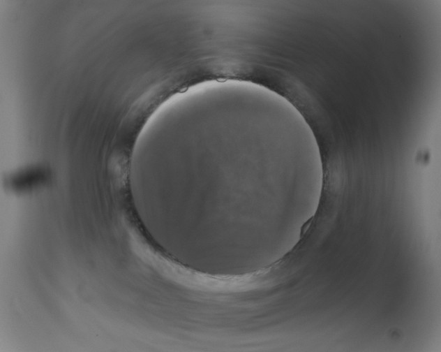 X0000111580043200908271046