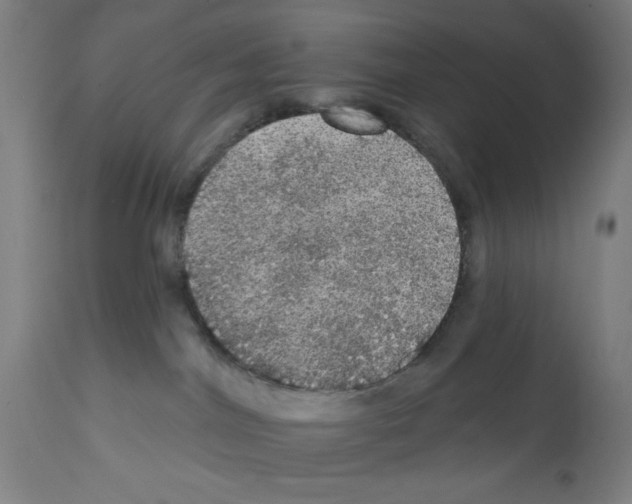 X0000111580044200908271046