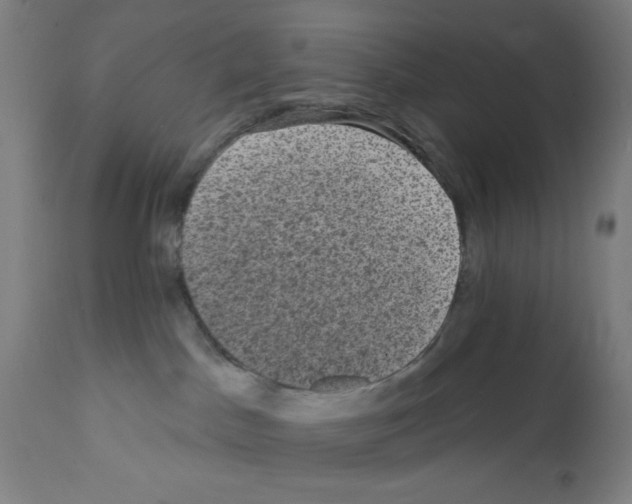 X0000111580045200908271046