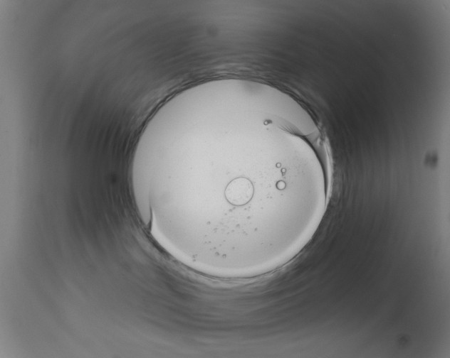 X0000111580047200908271046