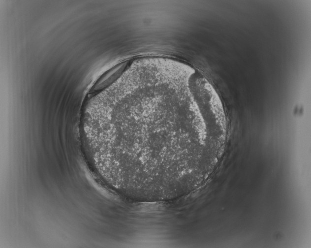 X0000111580050200908271045