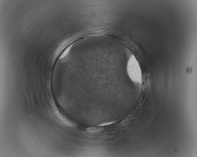 X0000111580051200908271045