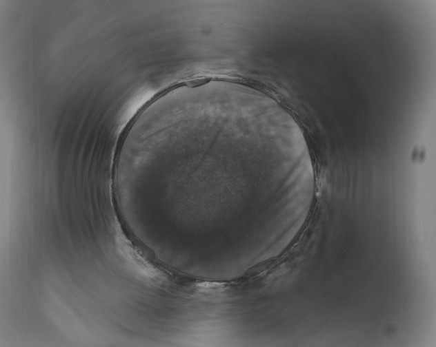 X0000111580052200908271045