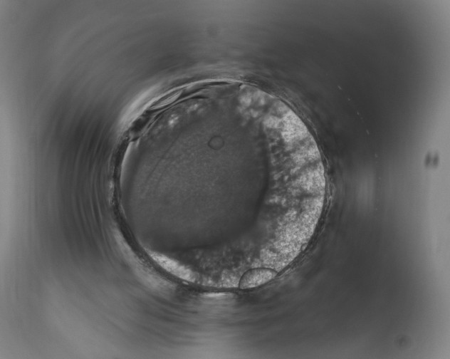 X0000111580053200908271045