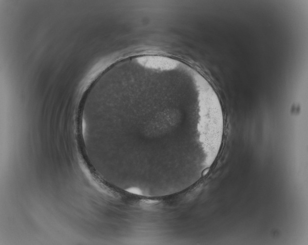 X0000111580055200908271045