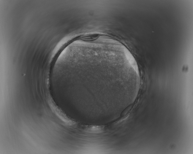 X0000111580056200908271045