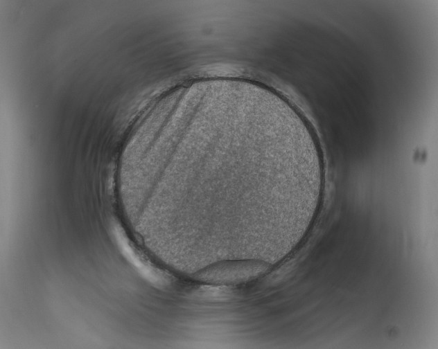 X0000111580057200908271045