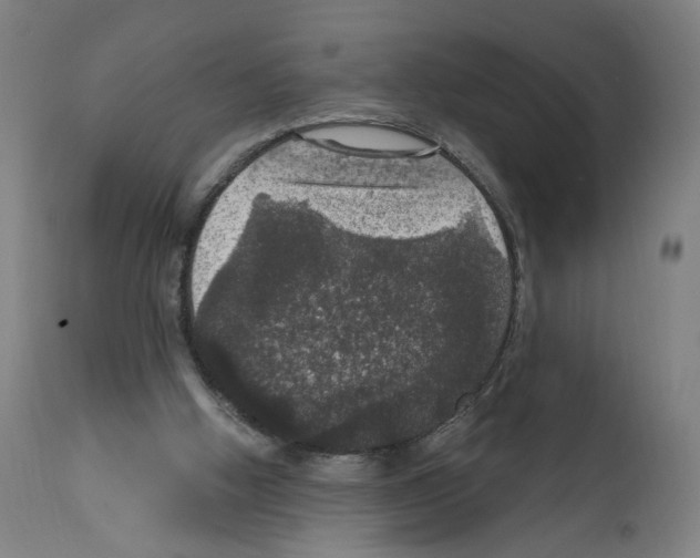 X0000111580058200908271045