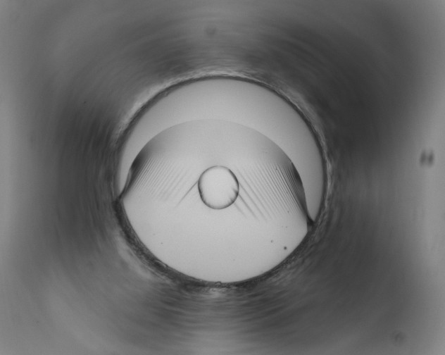 X0000111580060200908271046