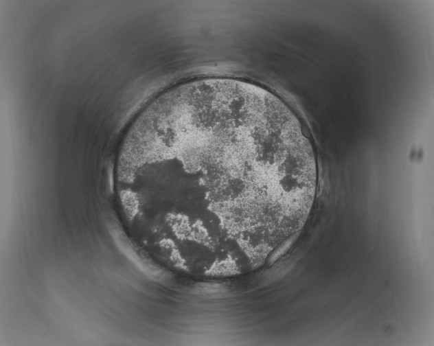 X0000111580061200908271046