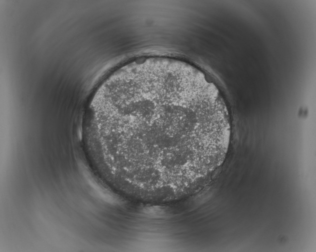 X0000111580062200908271046