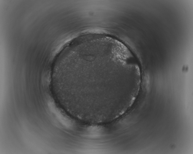 X0000111580063200908271046