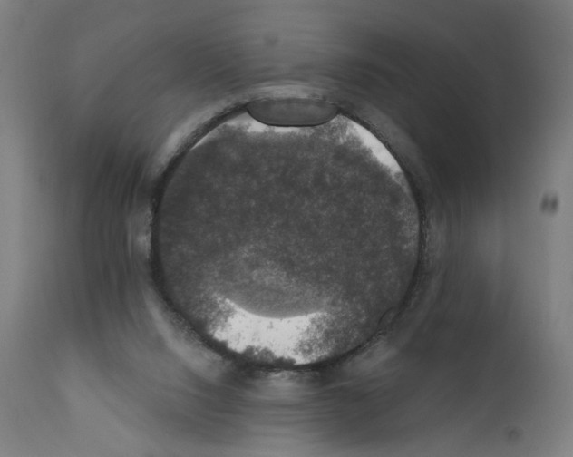 X0000111580064200908271046