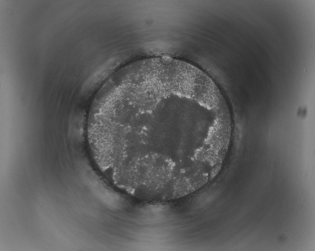 X0000111580065200908271046