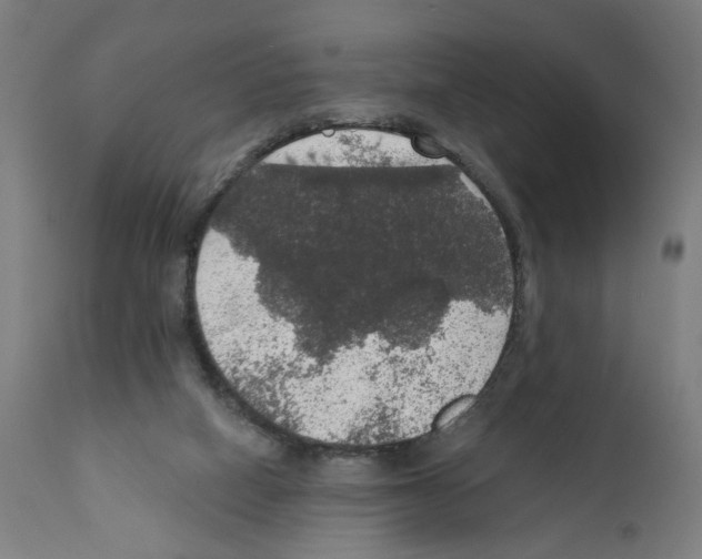 X0000111580066200908271046