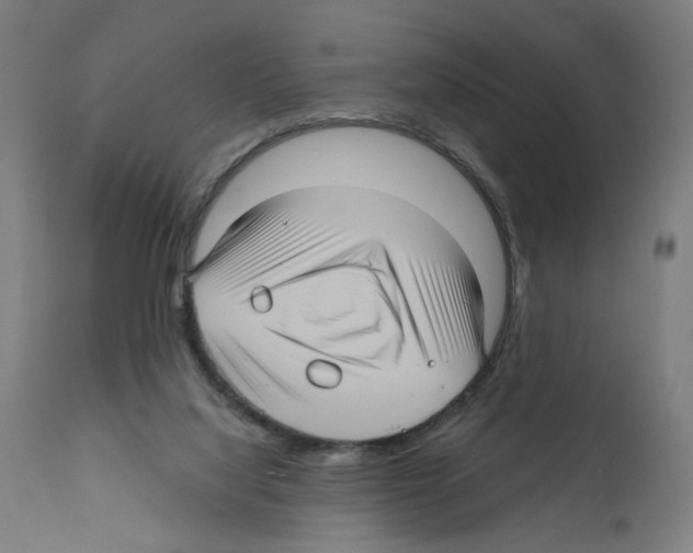 X0000111580068200908271046