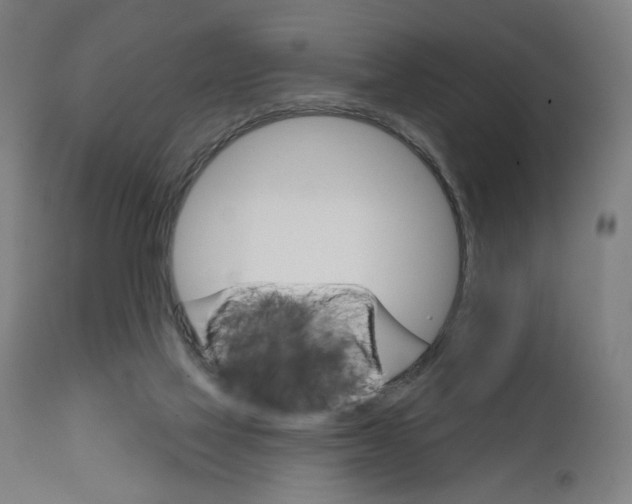 X0000111580069200908271046