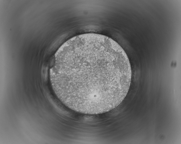 X0000111580070200908271046