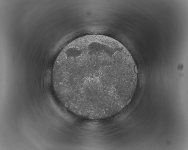 X0000111580071200908271046