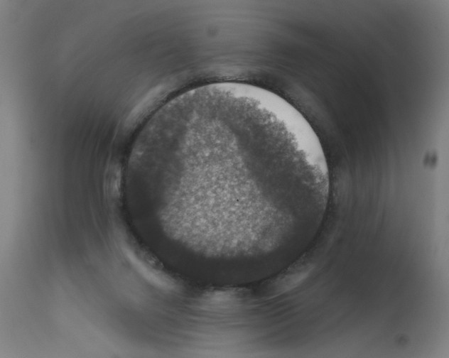 X0000111580072200908271046