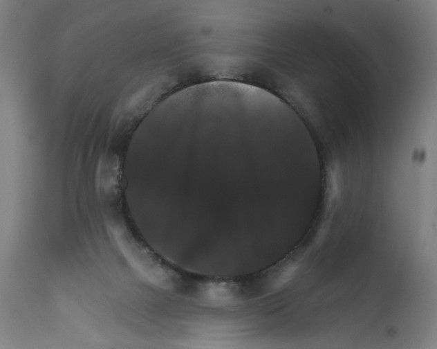 X0000111580073200908271046