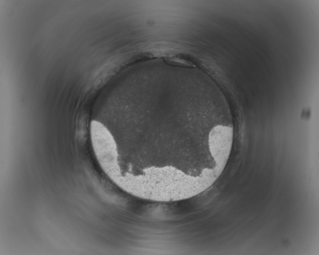 X0000111580074200908271046